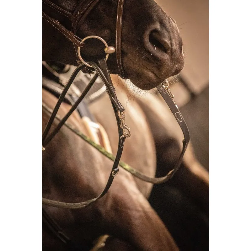 PNLOPE – Rnes Howlett – Cheval – Noir Bon March