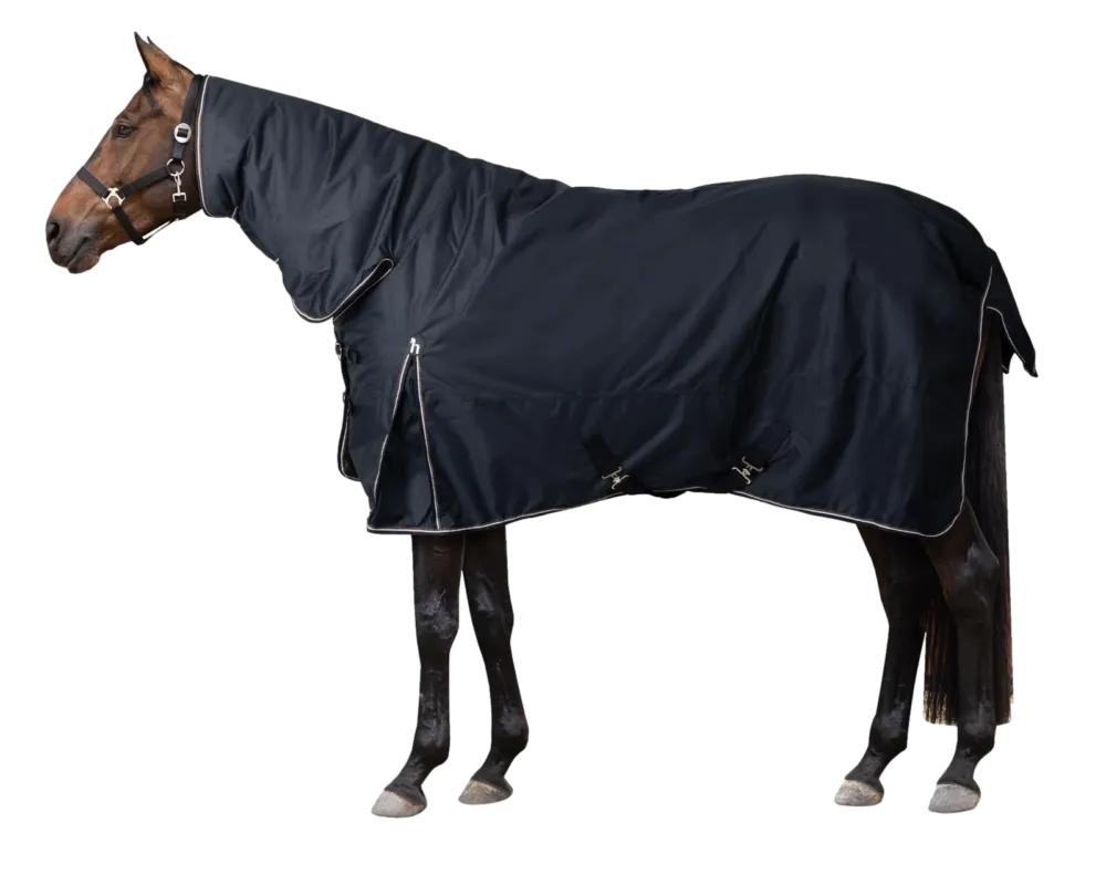 Commander Vite Couverture d'extrieur avec col fixe 200 g Horze Glasgow - 135 cm - Myrtille