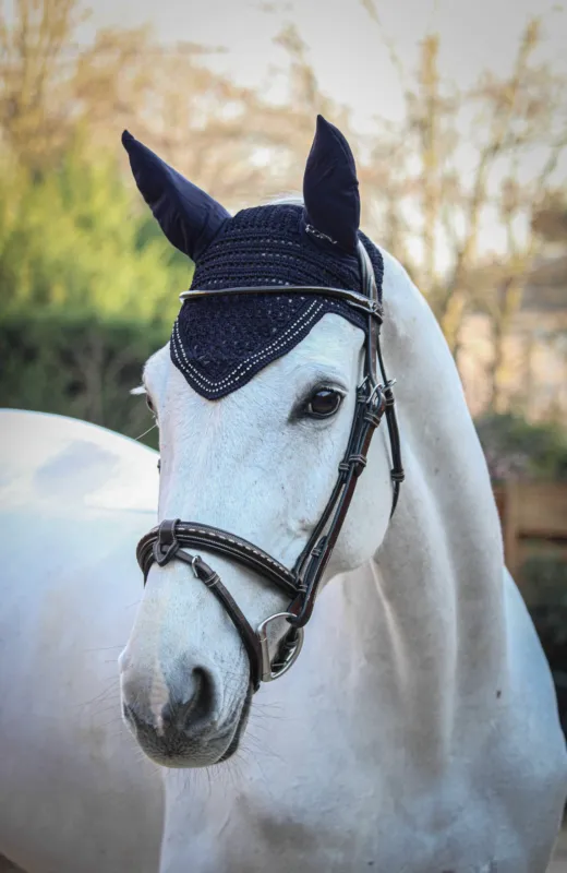 Seulement Aujourdhui Bonnet pour chevaux New Strass Pnlope - Pur-sang - Bleu marine