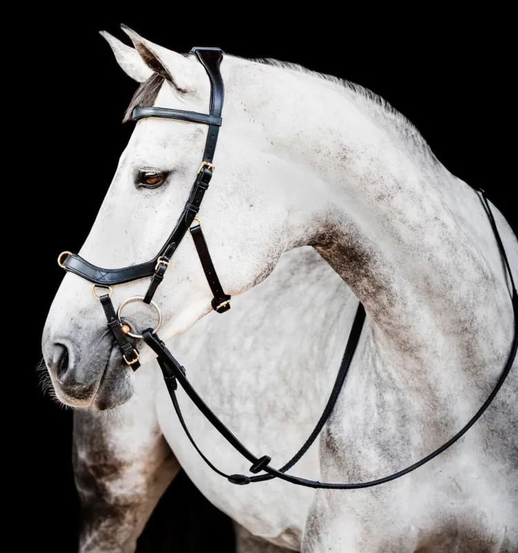 Prix Bas Bridon Horseware Micklem 2 Multi - Poney - Noir