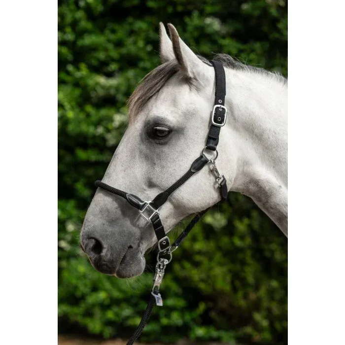 Cabezada de cuadra Set HKM Head collar -Carlotta - Full / Black Usine Directe