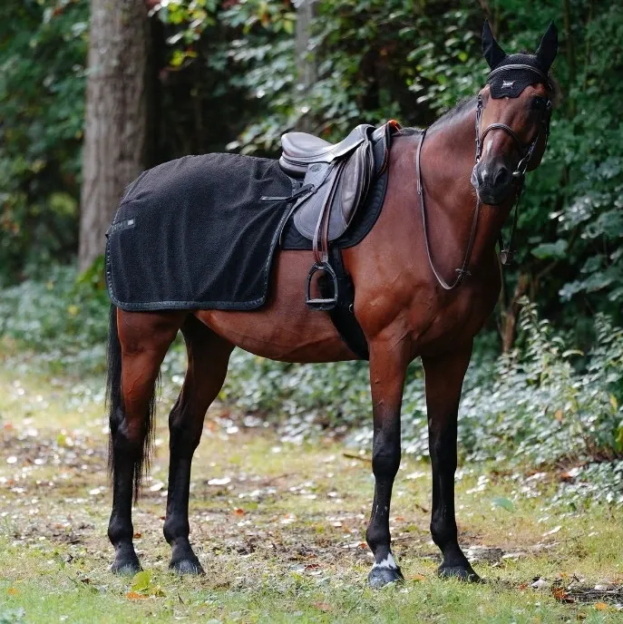 Achat Immdiat Couvre-reins GEM Tao - Poney - Noir