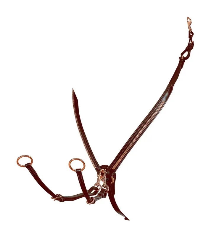 Expdition Rapide Collier de chasse avec clincher et fourche en cuir or rose Equestro - Cheval - Marron fonc