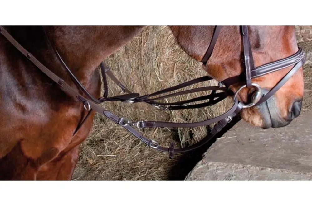 Enrnement Howlett T de T - Cheval - Havane fonc Bon Plan