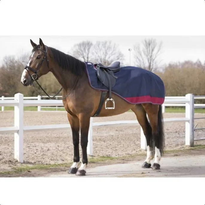 Prix Bas Couvre-reins Equithme Tyrex 1200D doubl polaire - bordeaux - 165 cm
