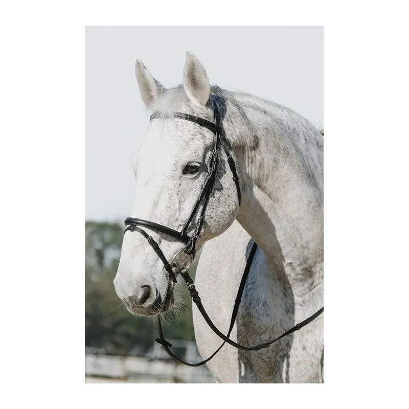 RIDING WORLD - Bridon muserolle combine - Poney - Noir Bon Plan