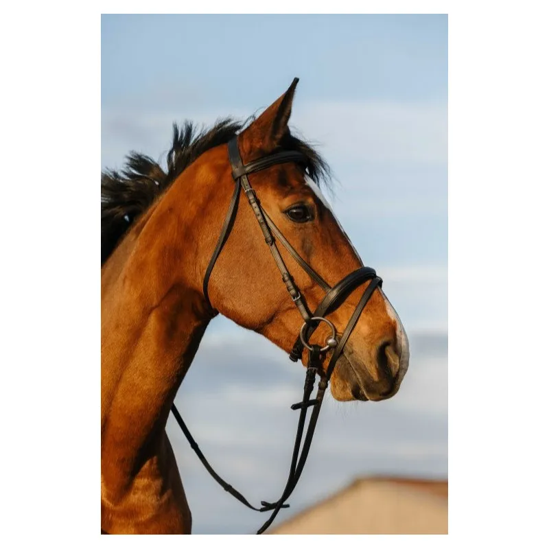 Satisfait Ou Rembours RIDING WORLD - Bridon muserolle combine doubl - Poney - Noir