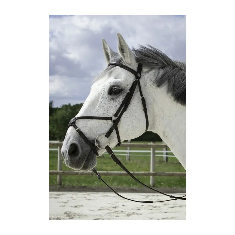 RIDING WORLD - Bridon muserolle croise - Poney - Noir Rduction