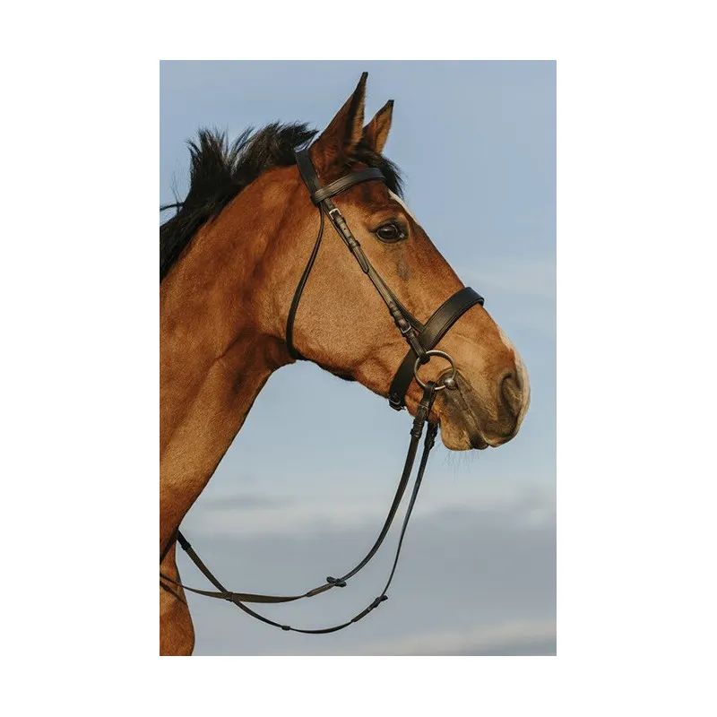 Offre Spciale RIDING WORLD - Bridon muserolle large - Cob - Noir