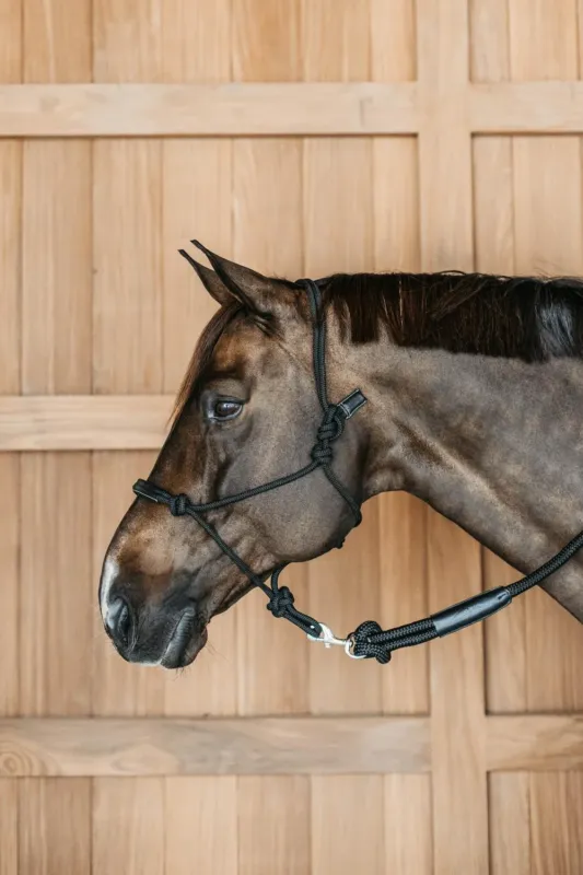 Licol thologique Dy'on - Cheval - Noir Vente Flash