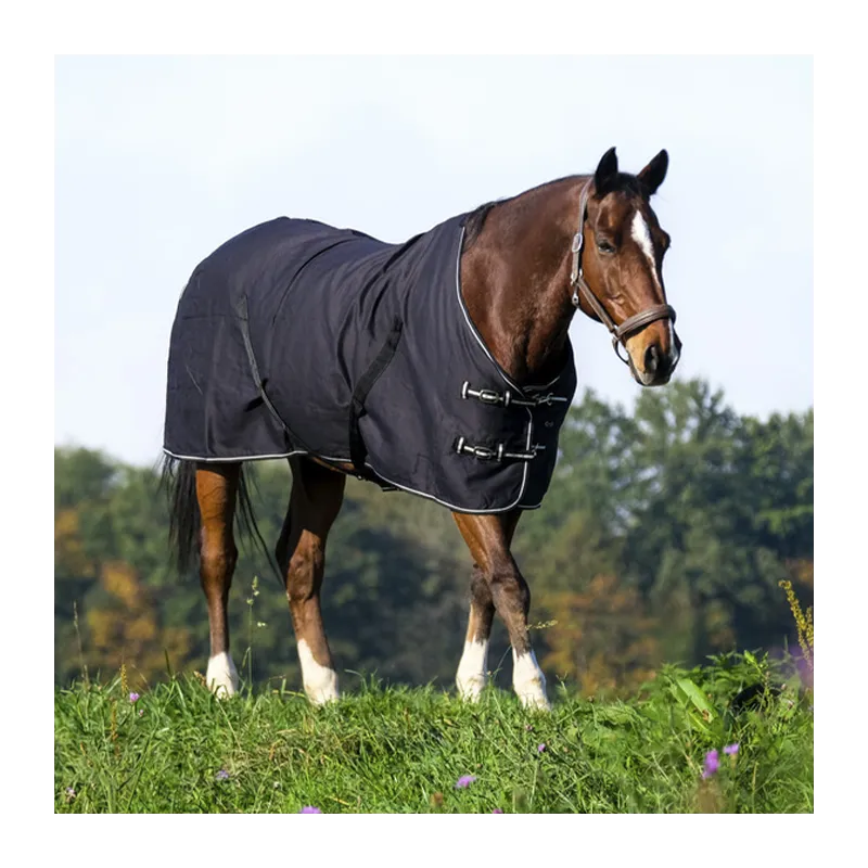 Prix Rduit RIDING WORLD - Chemise brillante - 5'9 (125 cm ) - Noir