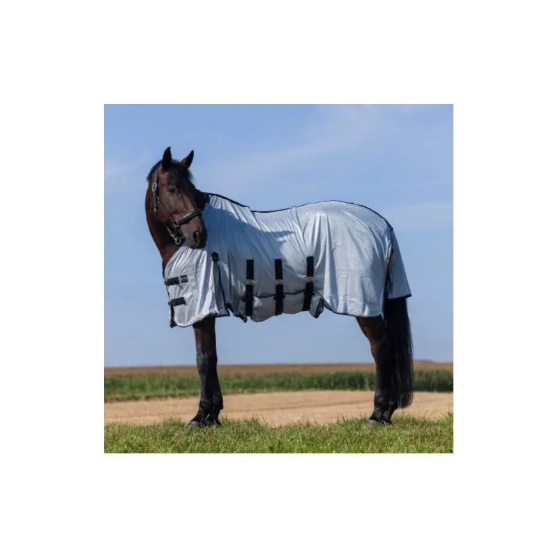 Seulement Aujourdhui RIDING WORLD - Chemise Belly Mesh - 5'6 (120 cm ) - Gris