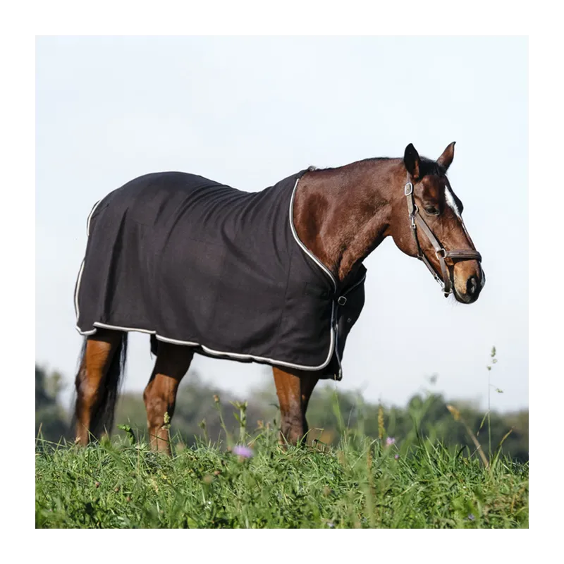 Nouvelle Collection RIDING WORLD - Chemise polaire - 4'0 (80 cm ) - Noir