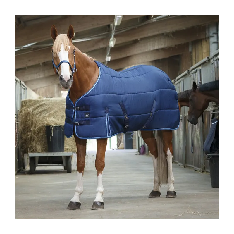 Quantit Limite RIDING WORLD - Couverture d'curie - 4'0 (80 cm ) - Marine - 300 gr