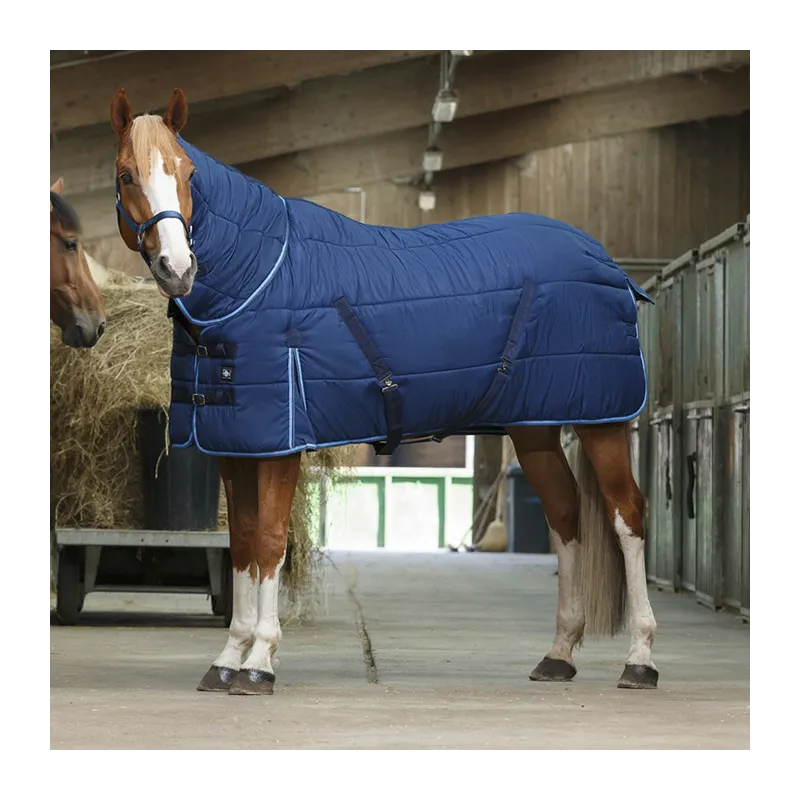 RIDING WORLD - Couverture d'curie Combo - 5'6 (120 cm ) - Marine - 300 gr Livraison Express