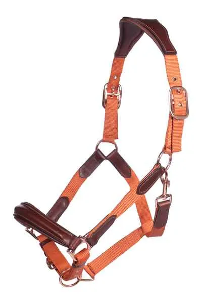 Commander Vite Leather cabezada de cuadras HKM cabezada de cuadra Edinburgh - Full / Pistachio