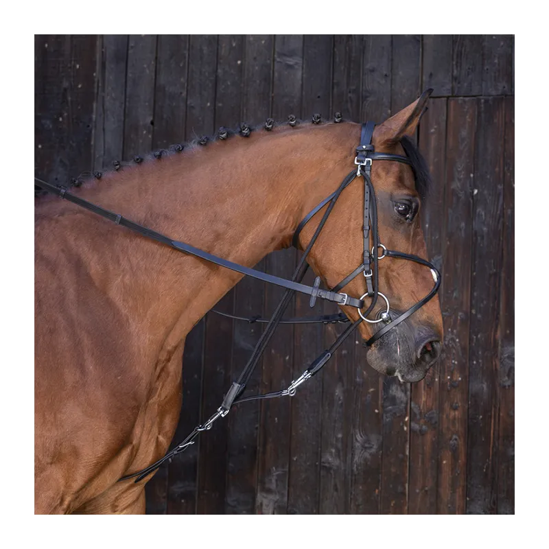 RIDING WORLD - Gogue poulies - Shetland - Noir Nouvel Arrivage