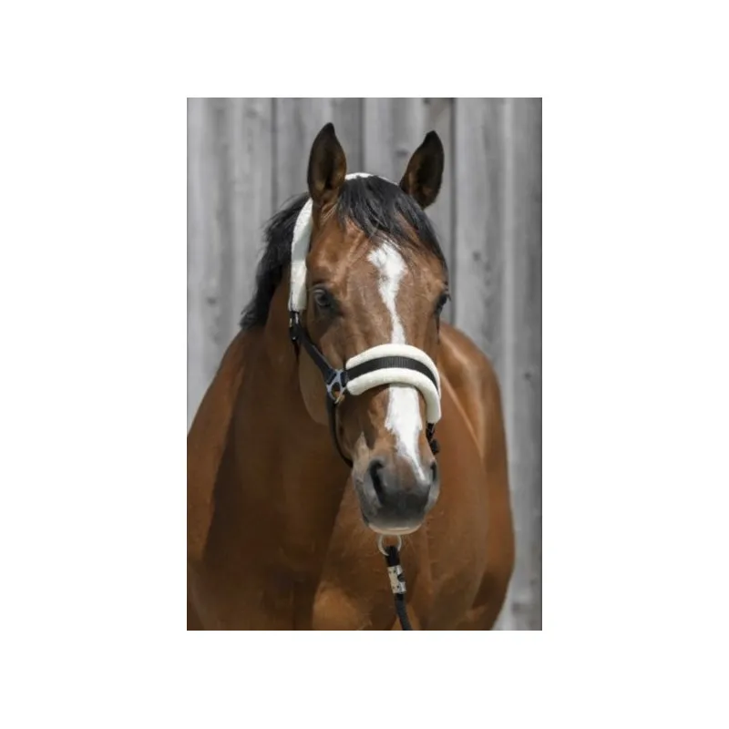 RIDING WORLD - Licol mouton synthtique - Shetland - Noir Quantit Limite