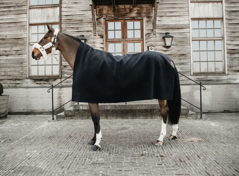 Couverture Schante Carr Heavy Kentucky - 210 x 200 cm - Noir Expdition Rapide