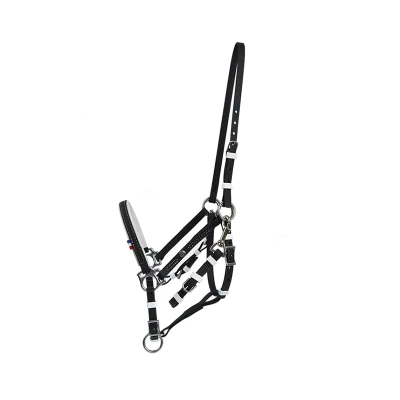 SP FRANCE - Bridon Compigne Biothane - Poney Nouvelle Collection