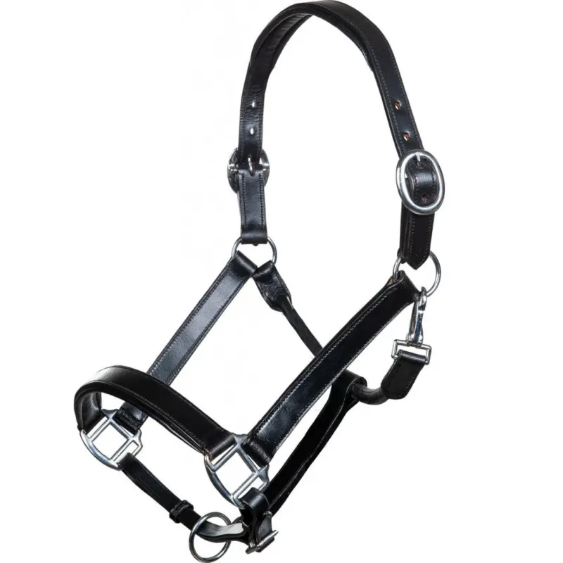 Haute Qualit Leather cabezada de cuadra HKM Leather Head Collar Economic - Black / Full