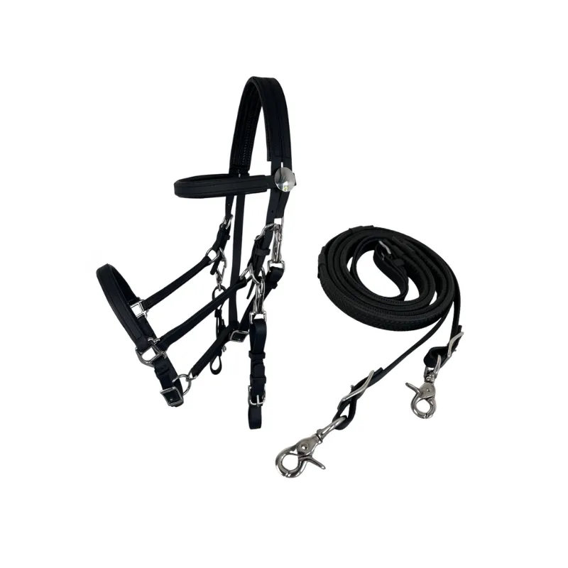 SP FRANCE - Bridon-licol + Rnes First - Arabe - Cob - Noir Acheter En Ligne