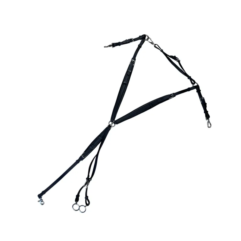 Dernier Modle SP FRANCE - Collier de chasse + Fourche de martingale First - Noir