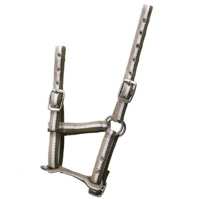 Licol foal rglable - Norton - gris/rose - poulain (foal ) Commander Maintenant