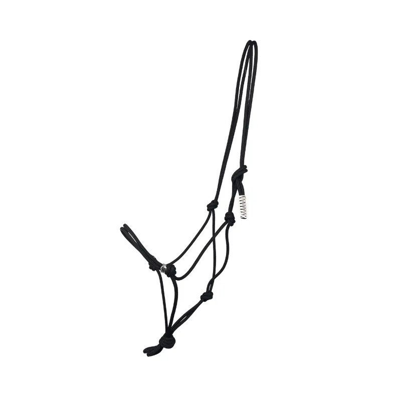 Petit Prix SP FRANCE - Licol thologique - Poney