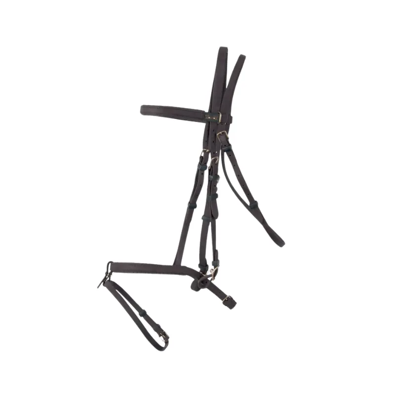 T DE T - Bridon simple Biotack - Poney - Noir Certifi