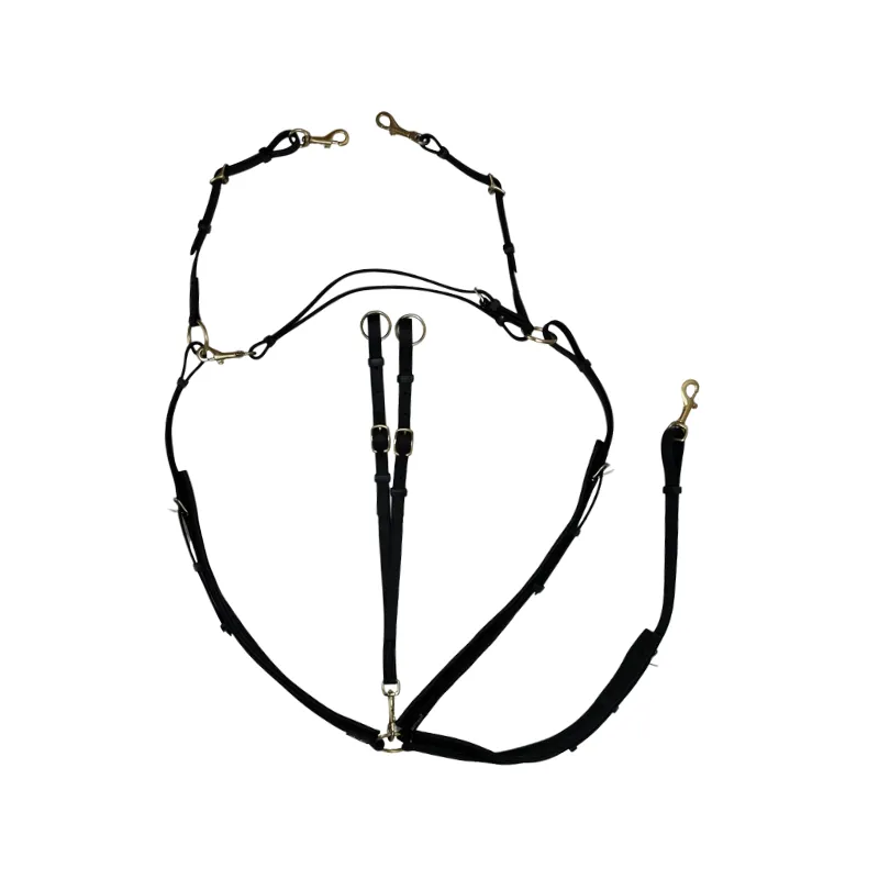 T DE T - Collier de chasse Biotack - Noir Promotion Saisonnire