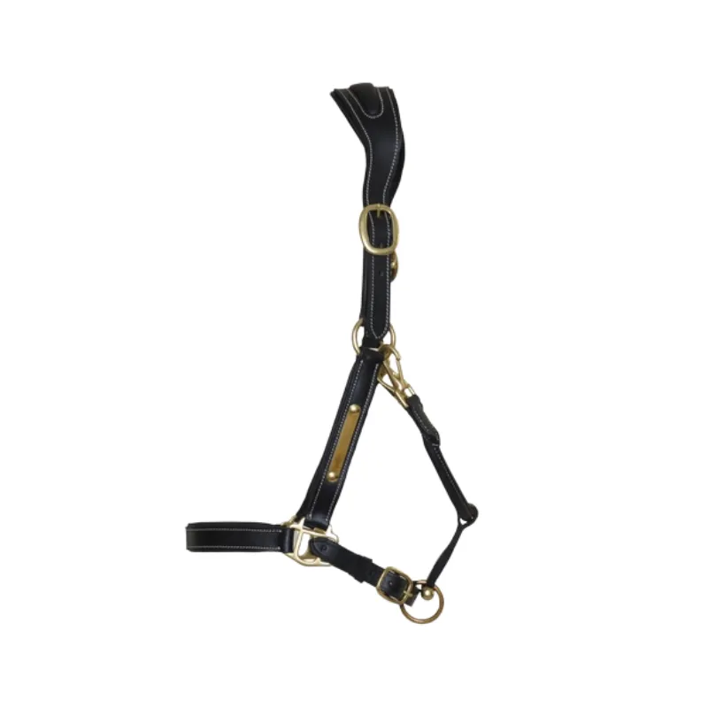 T DE T - Licol cuir avec plaque - Ttire anatomique - Poney - Noir Remise