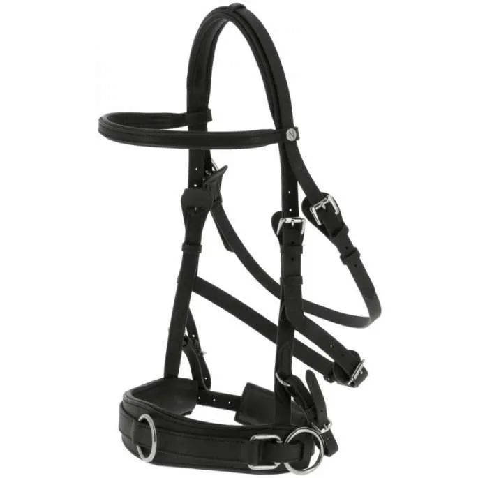 Caveon Large Norton - noir - pur-sang (cob ) Offre Exclusive