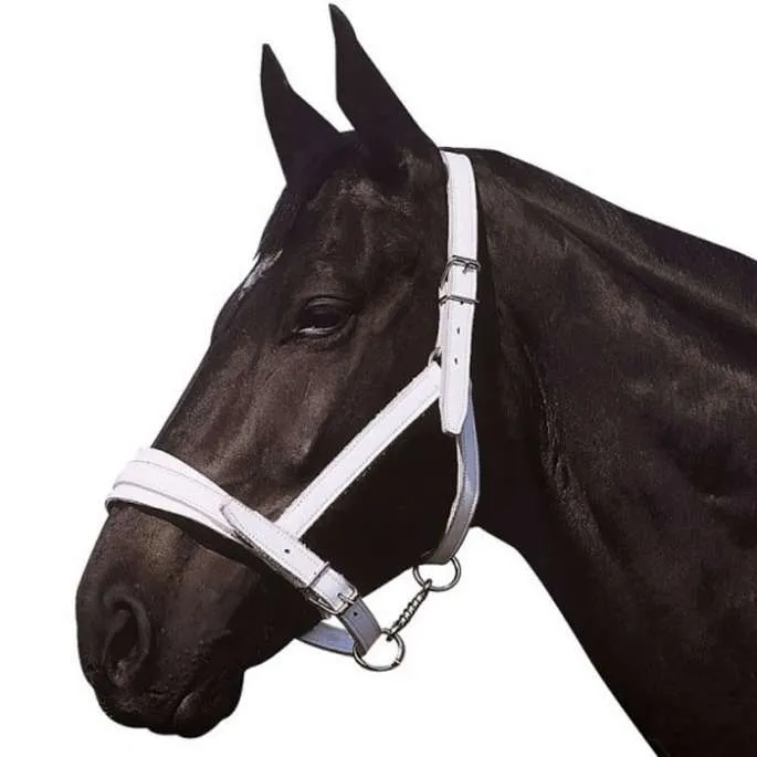 Produit De Marque Licol cuir chrom cheval de trait Norton Club - cheval de trait
