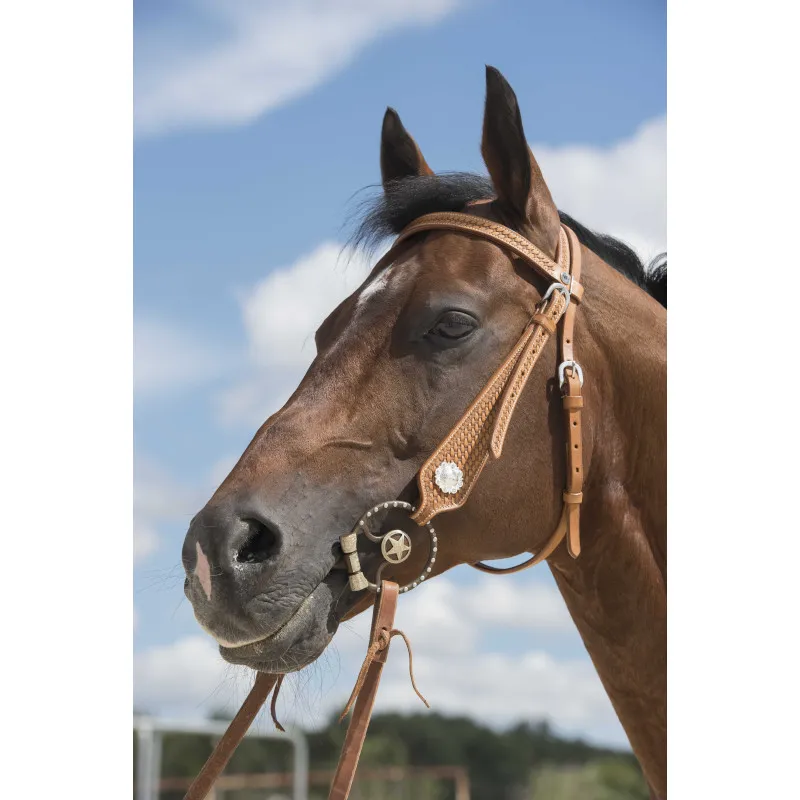 Expdi Aujourdhui WESTRIDE - Bridon Aurora Franck Perret - Cheval - Noisette