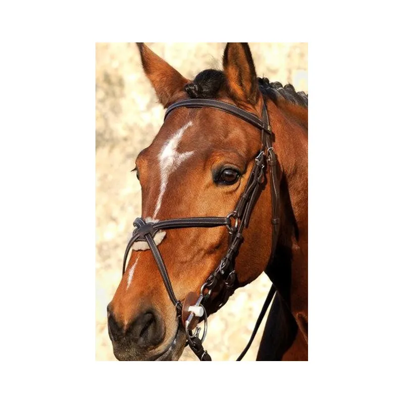 TREADSTONE - Bridon Pavin Richtan - Cheval - Noir Nouveaut