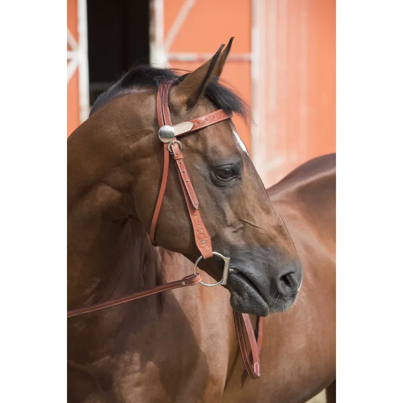 WESTRIDE - Bridon Two tone - Cheval - Noisette Super Prix