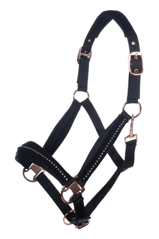 Cabezada de cuadras HKM Head Collar Berry - Black/Rose gold / Cob Solde