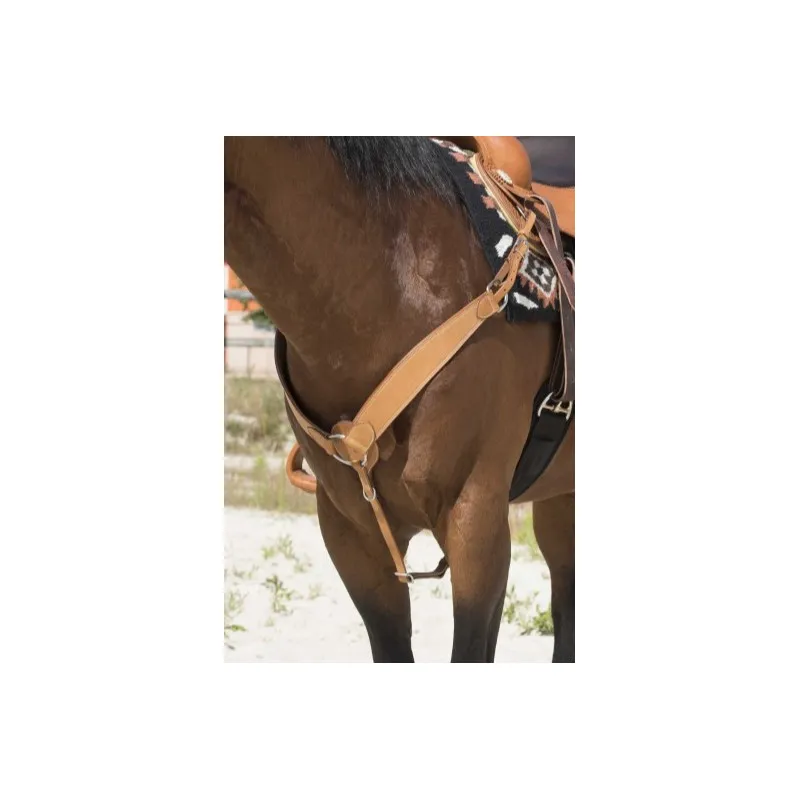 WESTRIDE - Collier de chasse Billy by Franck Perret - Cheval - Noisette Acheter Direct