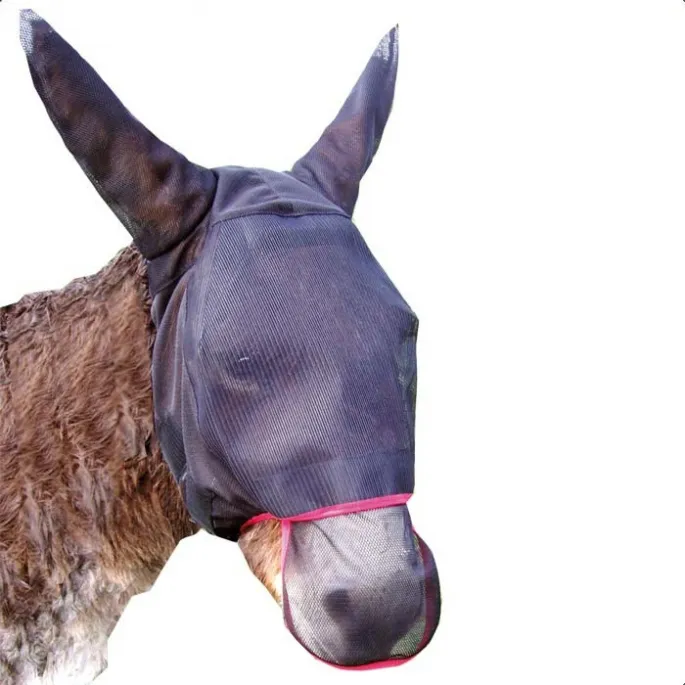 Offre Limite Bonnet de pr Max pour nes - Equilibrium - S - ne