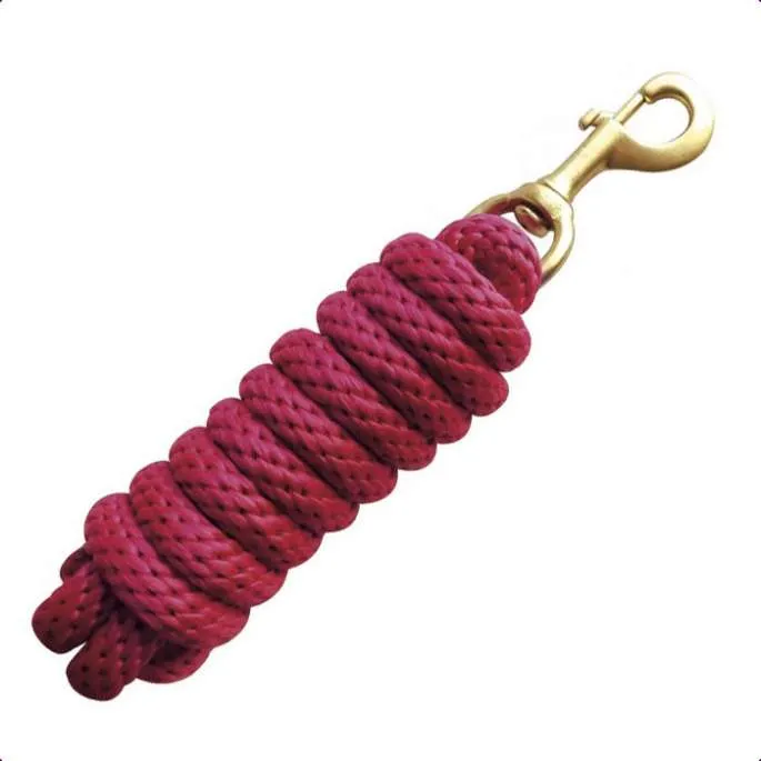 Authentique Longe Equithme - fuchsia - 2.4 mtres