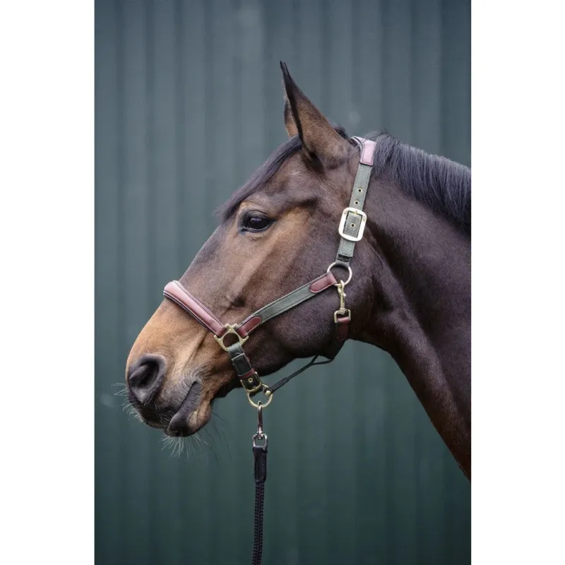 Cabezada de cuadras HKM Head Collar Luna - Green/Brown / Pony Must-Have
