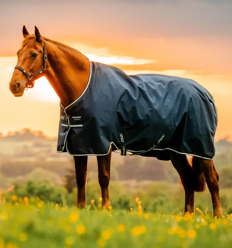 Couverture Amigo Ripstop Horseware 900D Turnout doubl polaire 50g - 115 cm - Marine witney Soldes