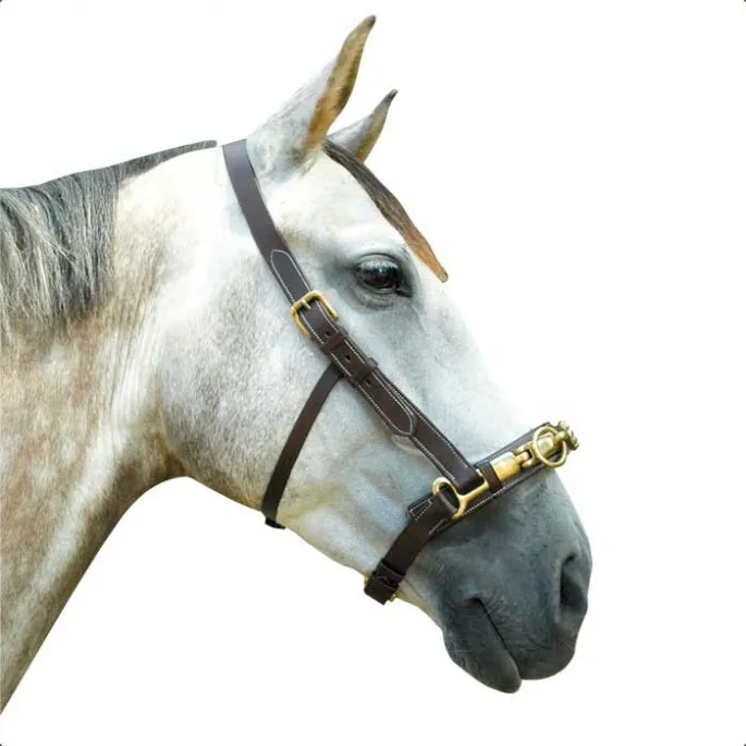 Meilleur Choix Caveon cuir - Canter - noir - cheval (full )