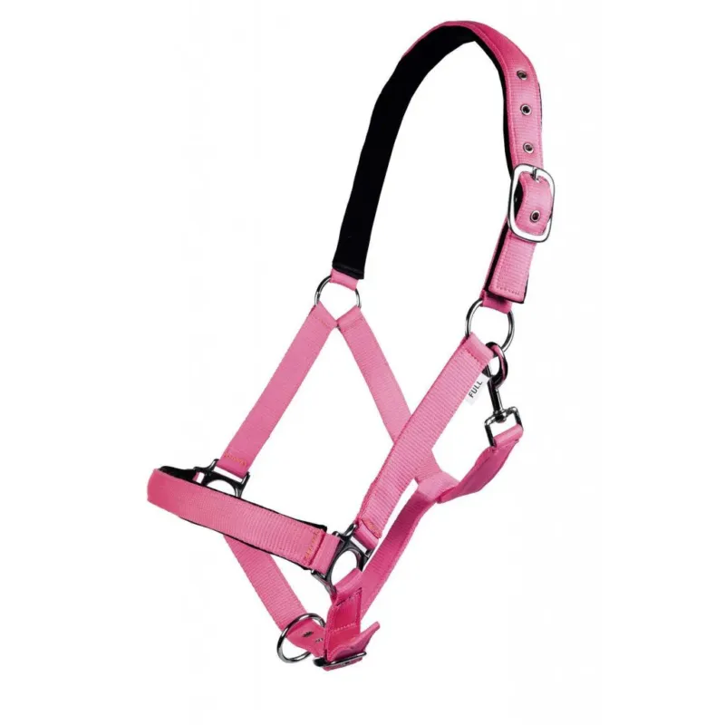 Acheter Direct Cabezada de cuadras HKM Head Collar Stars Softice With Soft Padding – Full / Corn Blue