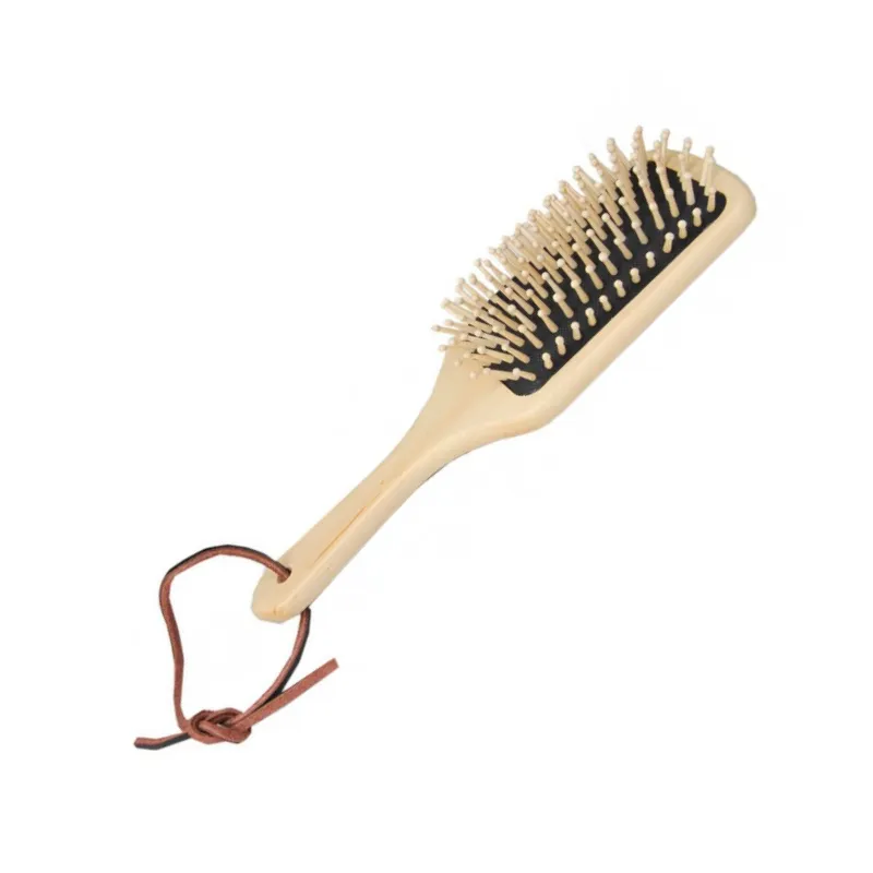 Achetez Aujourdhui BORSTIQ – Brosse  crins