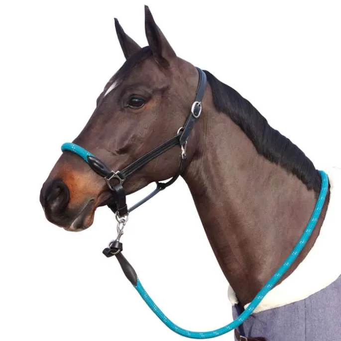 Licol cuir/corde - Canter - noir/meraude - cheval (full ) Nouveaut