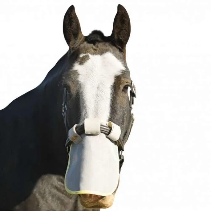 Prix Promo Protection solaire de nez - Equilibrium - L