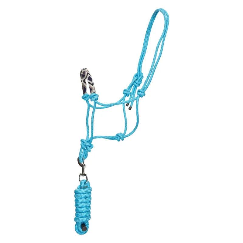 Licol HV Polo Lamu - Poney - Powder blue Offre Exclusive