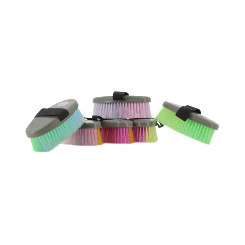 Achetez Aujourdhui HIPPOTONIC – Brosse multicolore – Multicolore